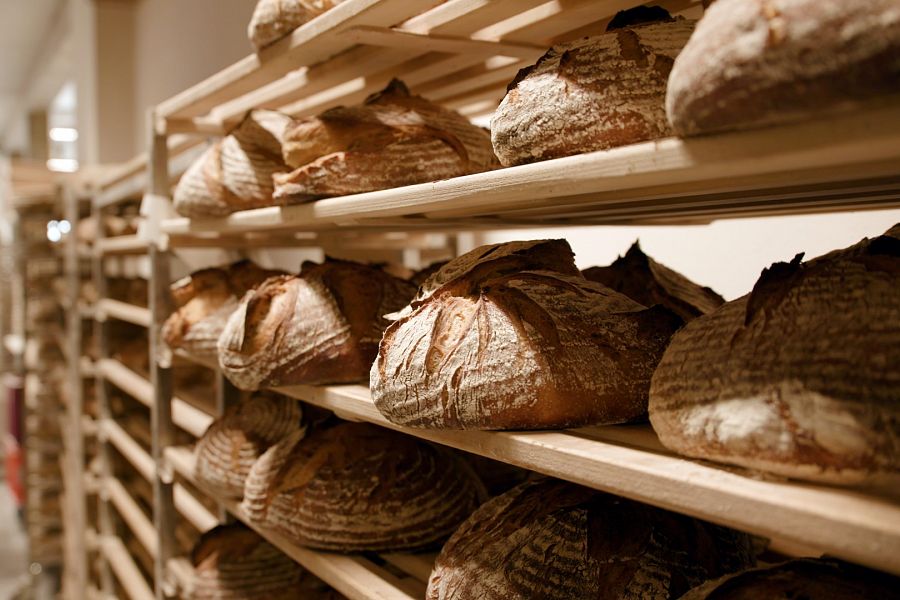 Dive into an enlightening journey towards the world of bread and its production today